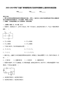 2023-2024学年广东省广州市越秀区育才实验学校物理九上期末综合测试试题含答案