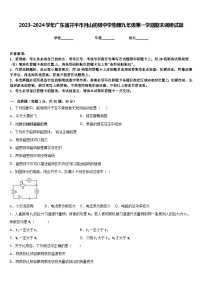 2023-2024学年广东省开平市月山初级中学物理九年级第一学期期末调研试题含答案