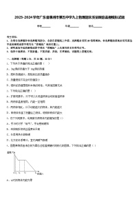 2023-2024学年广东省惠州市第五中学九上物理期末质量跟踪监视模拟试题含答案