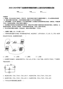 2023-2024学年广东省惠州市惠阳区物理九上期末质量检测模拟试题含答案