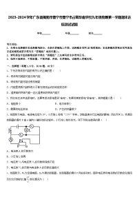 2023-2024学年广东省揭阳市普宁市普宁市占陇华南学校九年级物理第一学期期末达标测试试题含答案