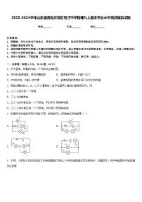 2023-2024学年山东省青岛开发区育才中学物理九上期末学业水平测试模拟试题含答案