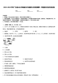 2023-2024学年广东省汕头市潮南区司马浦镇九年级物理第一学期期末质量检测试题含答案