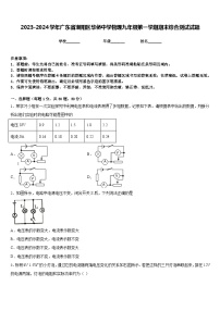 2023-2024学年广东省潮阳区华侨中学物理九年级第一学期期末综合测试试题含答案