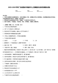 2023-2024学年广东省清远市英德市九上物理期末达标检测模拟试题含答案