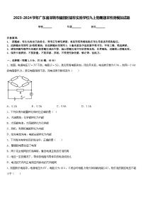 2023-2024学年广东省深圳市福田区耀华实验学校九上物理期末检测模拟试题含答案