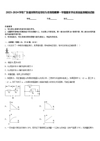 2023-2024学年广东省深圳市龙华区九年级物理第一学期期末学业质量监测模拟试题含答案