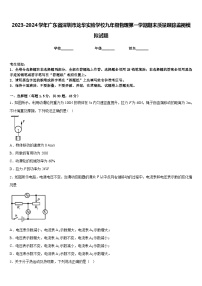 2023-2024学年广东省深圳市龙华实验学校九年级物理第一学期期末质量跟踪监视模拟试题含答案