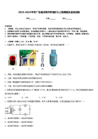 2023-2024学年广东省深圳市罗湖区九上物理期末监测试题含答案