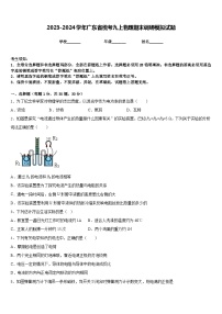 2023-2024学年广东省统考九上物理期末调研模拟试题含答案