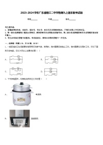 2023-2024学年广东省阳江二中学物理九上期末联考试题含答案