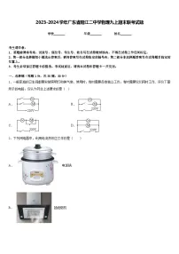 2023-2024学年广东省阳江二中学物理九上期末联考试题含答案