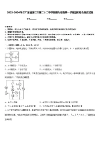 2023-2024学年广东省湛江市第二十二中学物理九年级第一学期期末综合测试试题含答案