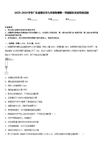 2023-2024学年广东省肇庆市九年级物理第一学期期末质量检测试题含答案