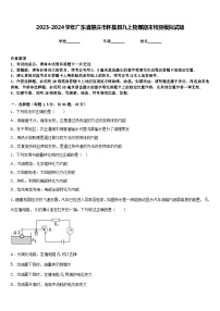 2023-2024学年广东省肇庆市怀集县九上物理期末检测模拟试题含答案