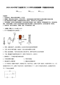 2023-2024学年广东省湛江市二十三中学九年级物理第一学期期末统考试题含答案