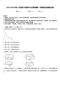 2023-2024学年广东省湛江市雷州市九年级物理第一学期期末监测模拟试题含答案