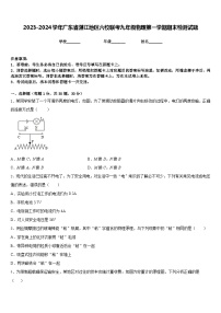 2023-2024学年广东省湛江地区六校联考九年级物理第一学期期末检测试题含答案
