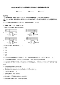 2023-2024学年广东省肇庆市封开县九上物理期末考试试题含答案