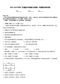 2023-2024学年广东省韶关市物理九年级第一学期期末联考试题含答案