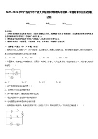 2023-2024学年广西南宁市广西大学附属中学物理九年级第一学期期末综合测试模拟试题含答案