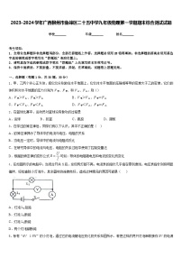 2023-2024学年广西柳州市鱼峰区二十五中学九年级物理第一学期期末综合测试试题含答案