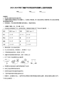 2023-2024学年广西南宁市天桃实验学校物理九上期末检测试题含答案