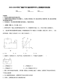 2023-2024学年广西南宁市江南区维罗中学九上物理期末检测试题含答案