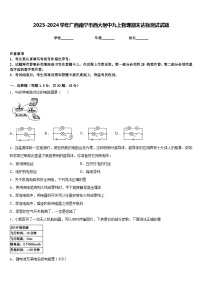 2023-2024学年广西南宁市西大附中九上物理期末达标测试试题含答案