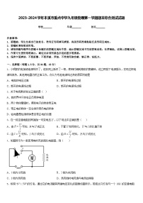 2023-2024学年本溪市重点中学九年级物理第一学期期末综合测试试题含答案