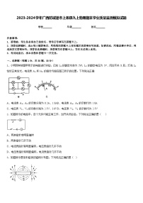 2023-2024学年广西防城港市上思县九上物理期末学业质量监测模拟试题含答案