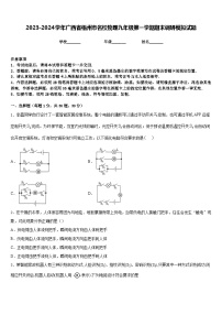 2023-2024学年广西省梧州市名校物理九年级第一学期期末调研模拟试题含答案