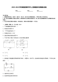 2023-2024学年揭阳真理中学九上物理期末经典模拟试题含答案