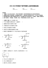 2023-2024学年惠安广海中学物理九上期末检测模拟试题含答案