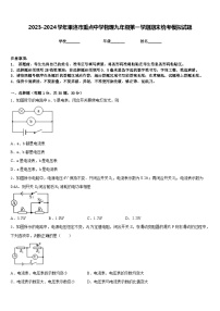 2023-2024学年果洛市重点中学物理九年级第一学期期末统考模拟试题含答案