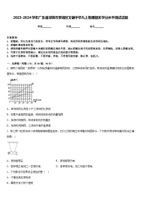 2023-2024学年广东省深圳市罗湖区文锦中学九上物理期末学业水平测试试题含答案