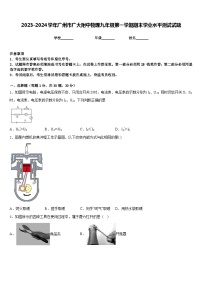 2023-2024学年广州市广大附中物理九年级第一学期期末学业水平测试试题含答案