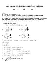 2023-2024学年广西贺州市昭平县九上物理期末学业水平测试模拟试题含答案