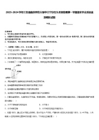 2023-2024学年江苏省南京师范大附中江宁分校九年级物理第一学期期末学业质量监测模拟试题含答案