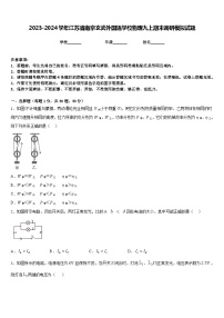 2023-2024学年江苏省南京玄武外国语学校物理九上期末调研模拟试题含答案