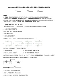 2023-2024学年江苏省南通市海安市十校联考九上物理期末监测试题含答案