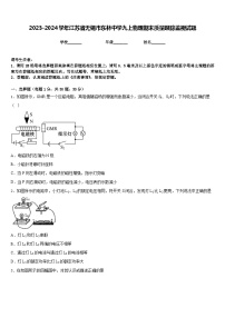 2023-2024学年江苏省无锡市东林中学九上物理期末质量跟踪监视试题含答案