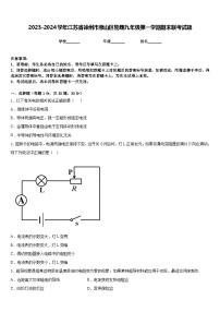 2023-2024学年江苏省徐州市泉山区物理九年级第一学期期末联考试题含答案