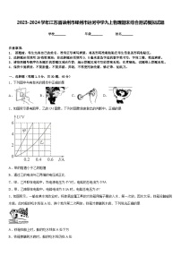 2023-2024学年江苏省徐州市邳州市运河中学九上物理期末综合测试模拟试题含答案