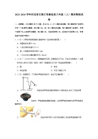 2023-2024学年河北省石家庄市高邑县八年级（上）期末物理试卷