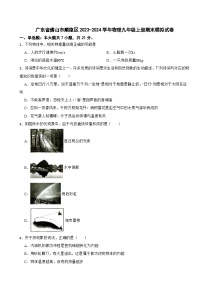 广东省佛山市顺德区2023-2024学年物理九年级上册期末模拟试卷