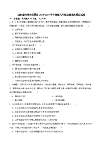 山东省菏泽市巨野县2023-2024学年物理九年级上册期末模拟试卷