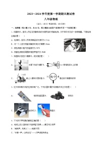 扬州市宝应县2023-2024学年八年级上学期期末考试物理试卷（含答案解析）