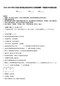 2023-2024学年江苏省江阴市敔山湾实验学校九年级物理第一学期期末考试模拟试题含答案