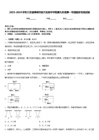 2023-2024学年江苏省泰州市民兴实验中学物理九年级第一学期期末检测试题含答案